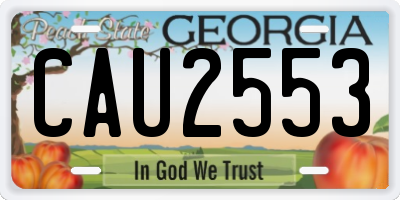 GA license plate CAU2553