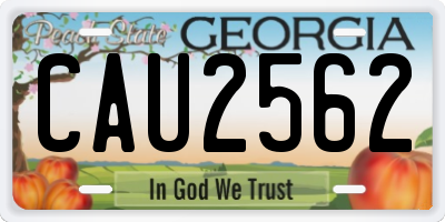 GA license plate CAU2562