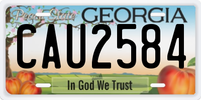 GA license plate CAU2584