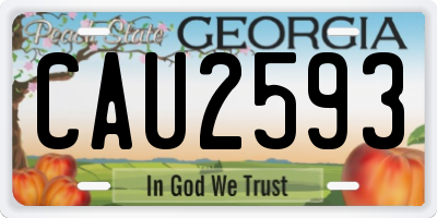 GA license plate CAU2593