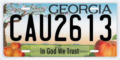 GA license plate CAU2613