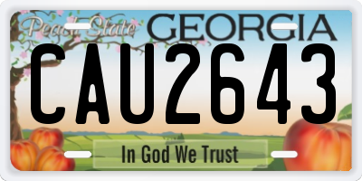 GA license plate CAU2643