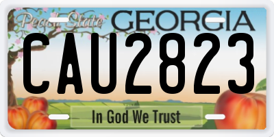 GA license plate CAU2823