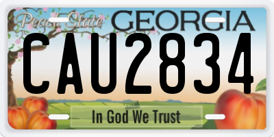 GA license plate CAU2834