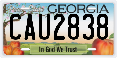 GA license plate CAU2838