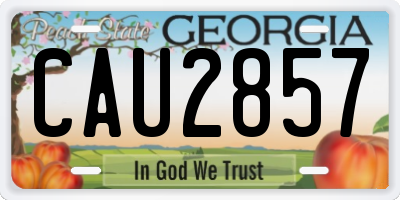 GA license plate CAU2857