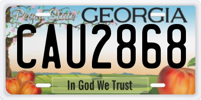 GA license plate CAU2868