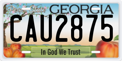 GA license plate CAU2875