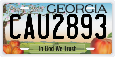 GA license plate CAU2893