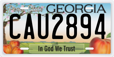 GA license plate CAU2894