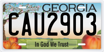 GA license plate CAU2903