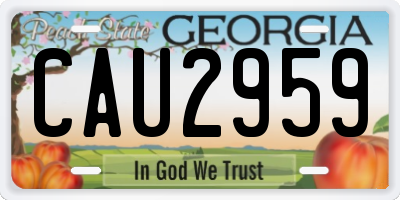 GA license plate CAU2959