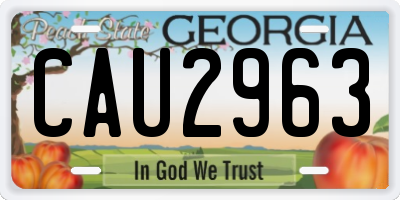 GA license plate CAU2963