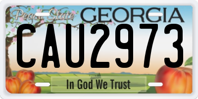 GA license plate CAU2973