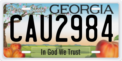 GA license plate CAU2984