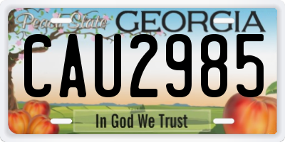 GA license plate CAU2985