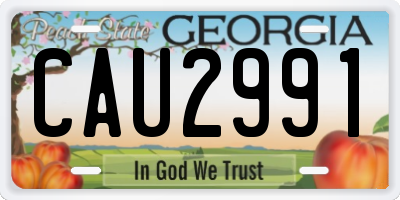 GA license plate CAU2991