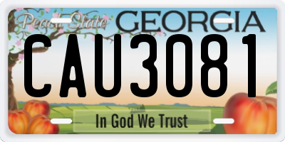 GA license plate CAU3081