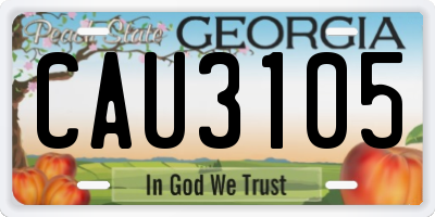 GA license plate CAU3105