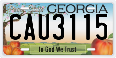 GA license plate CAU3115