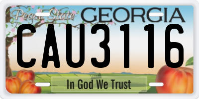 GA license plate CAU3116