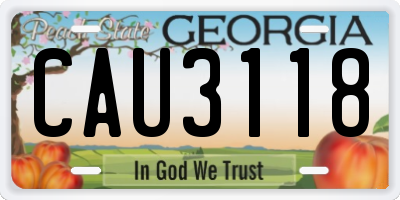 GA license plate CAU3118