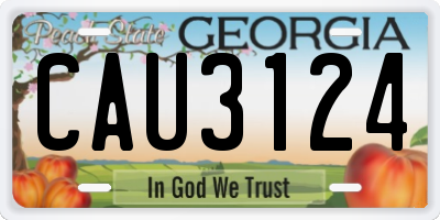 GA license plate CAU3124