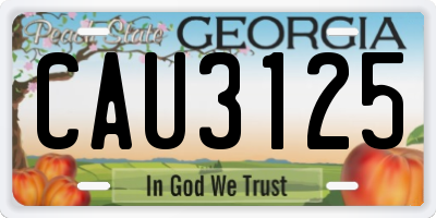 GA license plate CAU3125