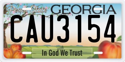 GA license plate CAU3154