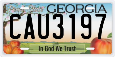 GA license plate CAU3197