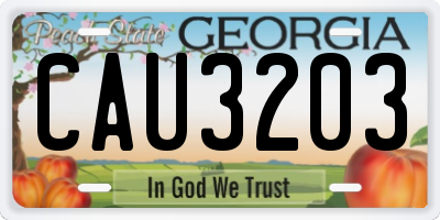 GA license plate CAU3203