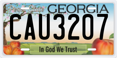 GA license plate CAU3207