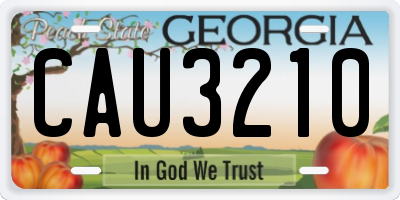 GA license plate CAU3210