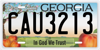 GA license plate CAU3213