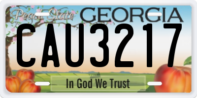 GA license plate CAU3217
