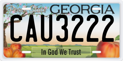 GA license plate CAU3222