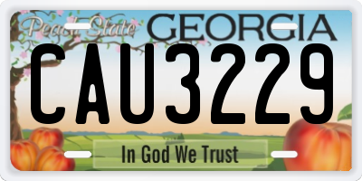 GA license plate CAU3229