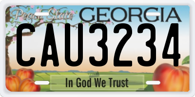 GA license plate CAU3234
