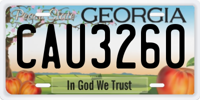 GA license plate CAU3260