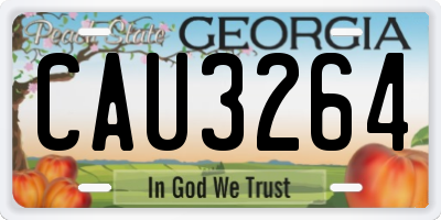 GA license plate CAU3264