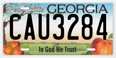 GA license plate CAU3284