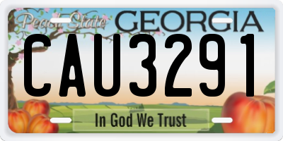 GA license plate CAU3291