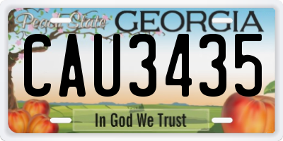 GA license plate CAU3435