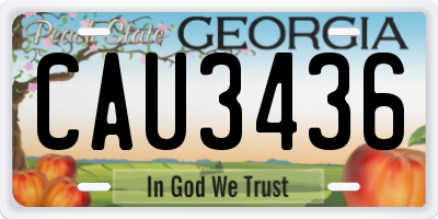 GA license plate CAU3436