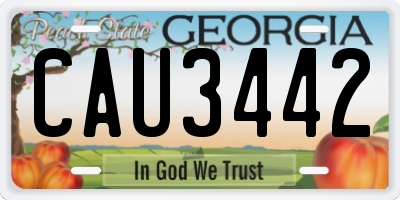 GA license plate CAU3442