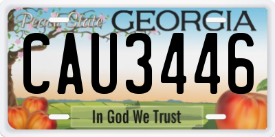 GA license plate CAU3446