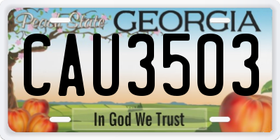 GA license plate CAU3503