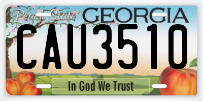 GA license plate CAU3510