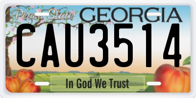 GA license plate CAU3514