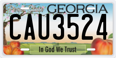 GA license plate CAU3524